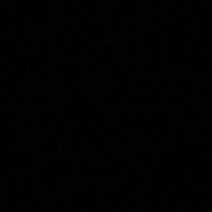 Meet your Posher, Kira